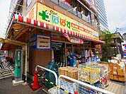 どらっぐぱぱす 梅島駅前店（801m）