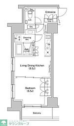 ザ・パークハビオ入谷 11階1LDKの間取り