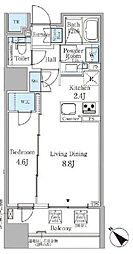 アネシア築地ステーションレジデンス 1LDKの間取図画像