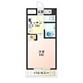 ビジタル丸山通53階5.8万円