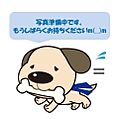 スギドラッグ ...