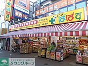どらっぐぱぱす下落合店 徒歩4分。ドラックストア 310m