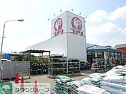 コメリハード＆グリーン保谷北町店 2598m