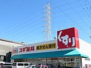 スギドラッグ砂美店 スギ薬局砂美店【スギ薬局砂美店】営業時間9