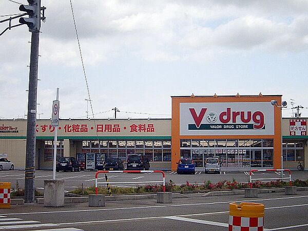 画像19:V・drug 高岡木津店 （調剤薬局）（700m）