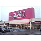 マックスバリュ大村諏訪店 770m