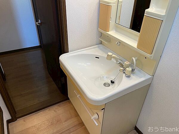 画像3:独立洗面台はシャワー付きです。