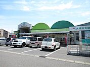 トミダヤ 島店（427m）
