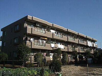 外観 外観