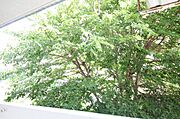 別号室の写真