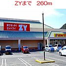 ＺＹ