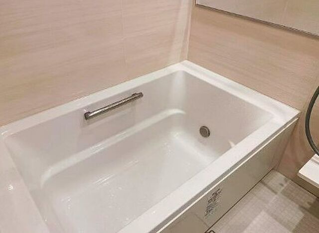 浴室 コンシェリア西新宿ＴＯＷＥＲ’Ｓ　ＷＥＳＴ 11階/-