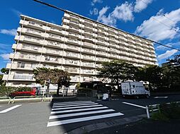 物件画像 蓮根ファミールハイツ1号棟