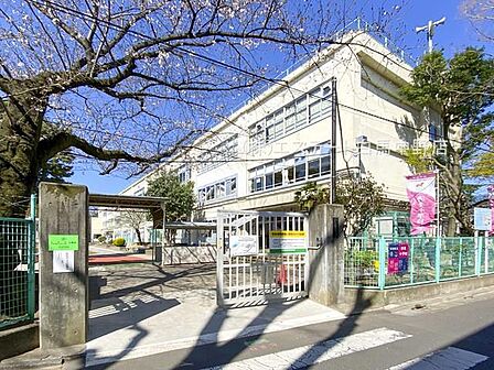 杉並区立済美小学校(710m)