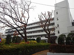 物件画像 コンド向原