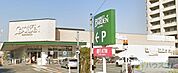 コーヨー高槻南店 548m