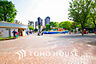 周辺：南河原公園　距離700ｍ