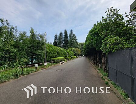 世田谷区立世田谷公園　距離1100m