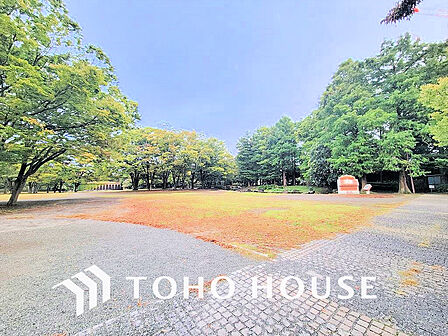 茅ヶ崎中央公園 距離2000m