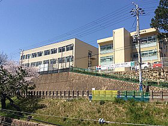 周辺：神戸市立御影小学校（728m）