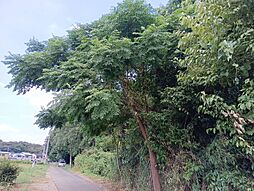 物件画像 上尾市中分 土地
