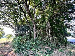 物件画像 坂戸市大字多和目土地