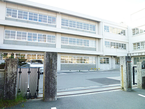 画像15:松阪市立第四小学校（717m）