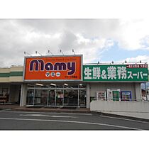 パラッツォ杉 4 ｜ 静岡県御殿場市萩原（賃貸テラスハウス2LDK・1階・66.24㎡） その19