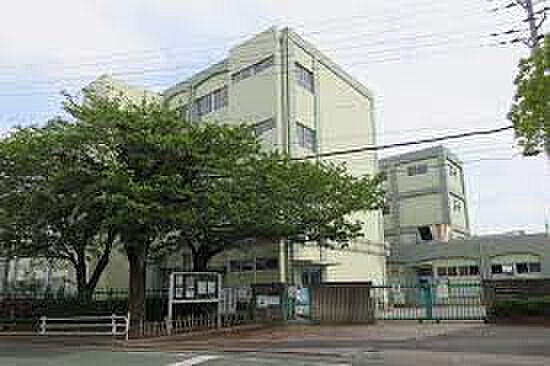 画像25:【小学校】神戸市立高津橋小学校まで180ｍ