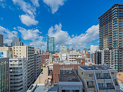 バルコニーからの眺望（眺望は永続的に保証されるものではございません。）