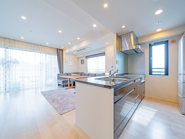 キッチン シティハウス広尾南 8階/-