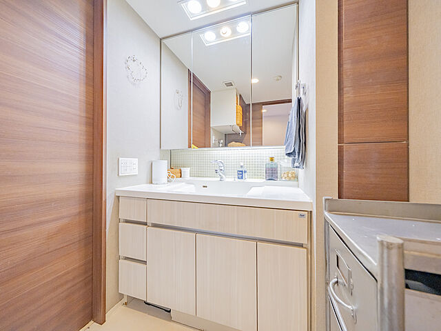 洗面 ライオンズふじみ野マークレジデンス 2階/-