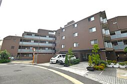 物件画像 ミオカステーロ中野島ＩＩＩ