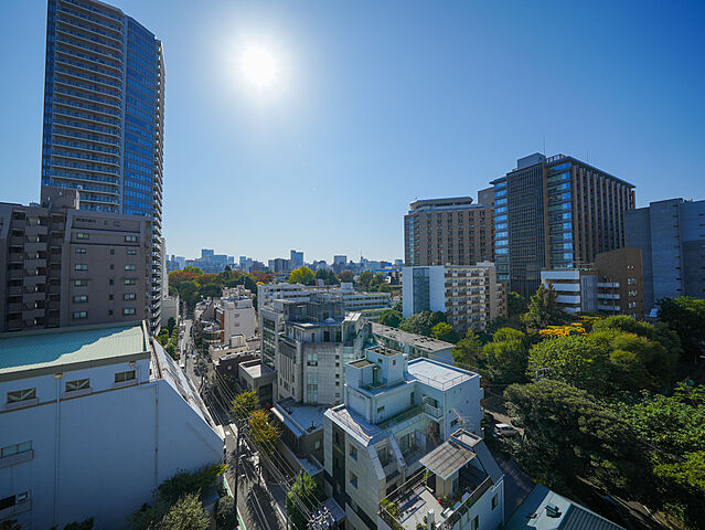 バルコニー ウェリス上野池之端 10階/-