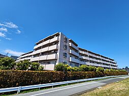 物件画像 ライオンズガーデン金町リバーステージ