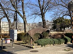 室内の画像
