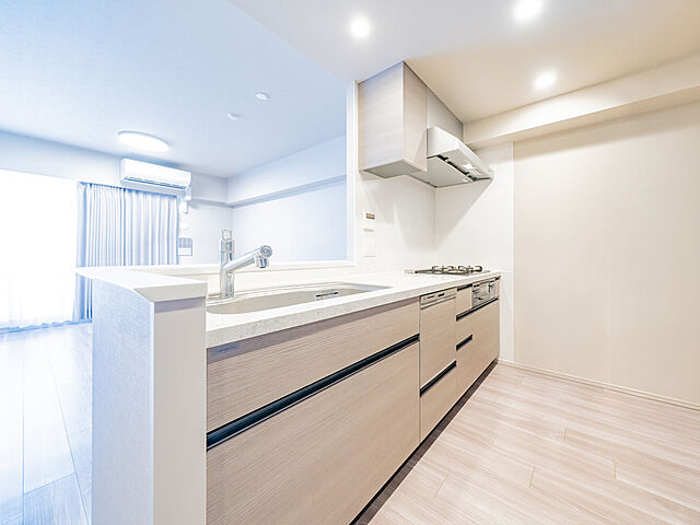 キッチン リビオシティ南砂町ステーションサイト 8階/-