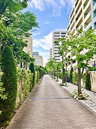 エントランスアプローチ