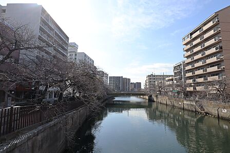 大岡川 徒歩2分(約130m)