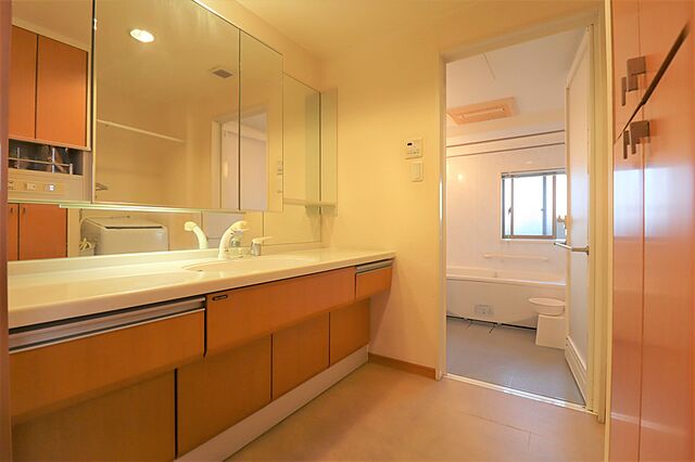 洗面 ライオンズプラザ三河安城 9階/-