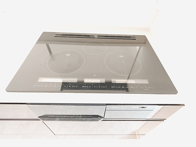 キッチン ライオンズ新井口マスターズゲート 13階/-