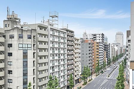 西側バルコニーからの眺望(眺望は永続的に保証されるものではありません)