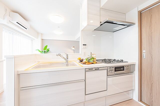 キッチン ライオンズガーデン川崎 4階/-