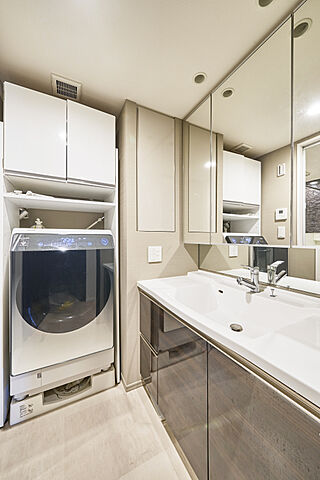 洗面 シティタワーズ東京ベイウエストタワー 8階/-