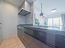 天然石カウンタートップ、食洗器、浄水器、ディスポーザー付