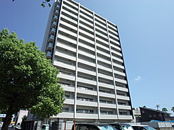 物件画像 サーパス橘通東