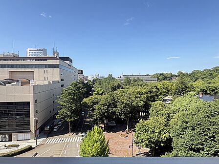 いしかわ四高記念公園の緑をご覧いただけます。北側バルコニーから北向きの眺望です。