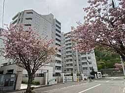 物件画像 ミッドマークス円山　桜の邸