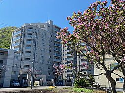 物件画像 ミッドマークス円山　桜の邸