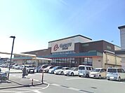 遠鉄ストア　見付店（620m）